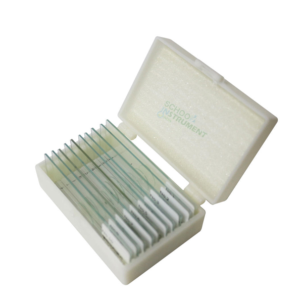 Algae Survey Slide Set of 15